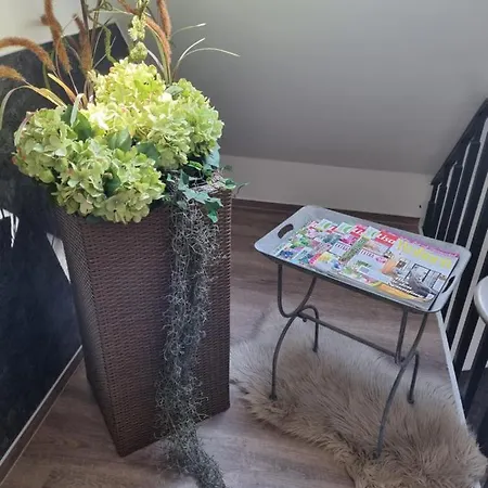 מלון Hof Barrl *