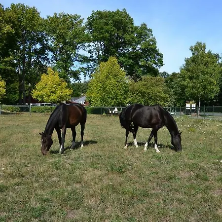 Hof Barrl * Schneverdingen